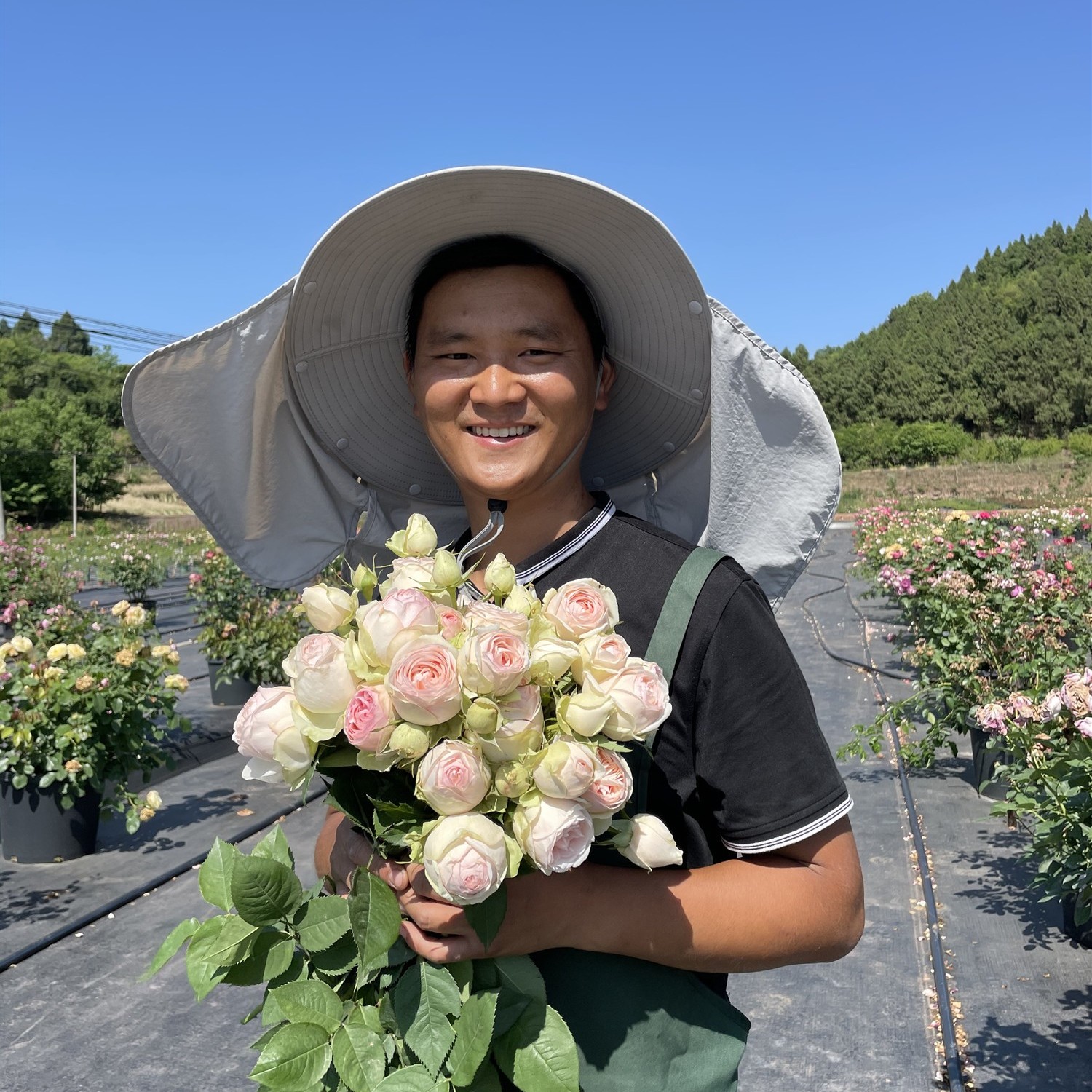 黑哥的花园宜然园艺直播间灌木藤本月季多季节重复开花临时链接
