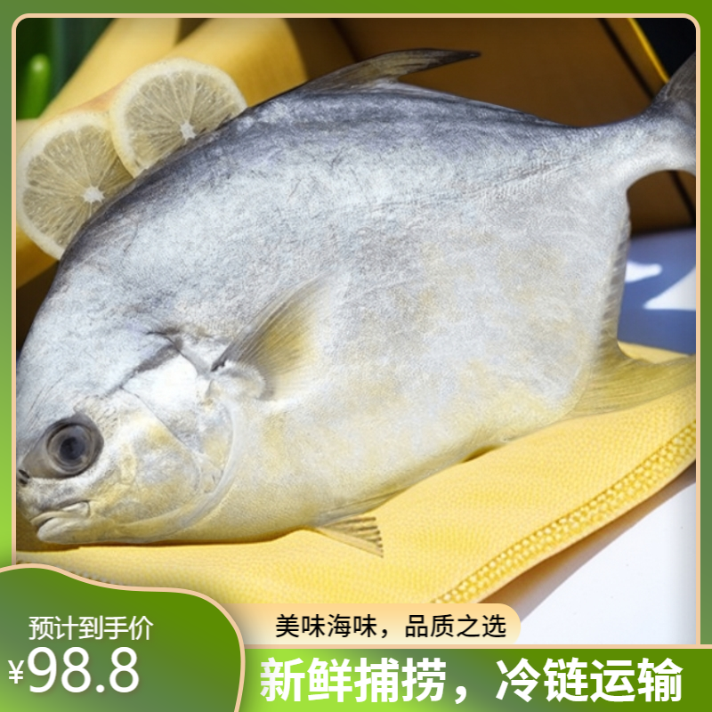 新鲜金鲳鱼每条1斤左右速冻顺丰冷链运输海鲜