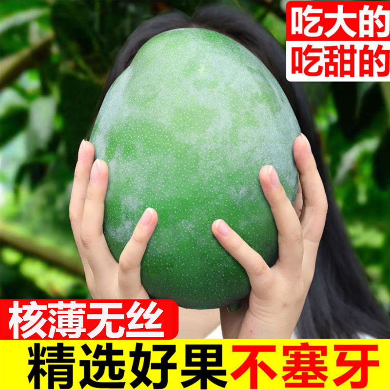 【放熟变软吃】正宗四川攀枝花凯特芒果新鲜水果皮薄肉厚特大青芒