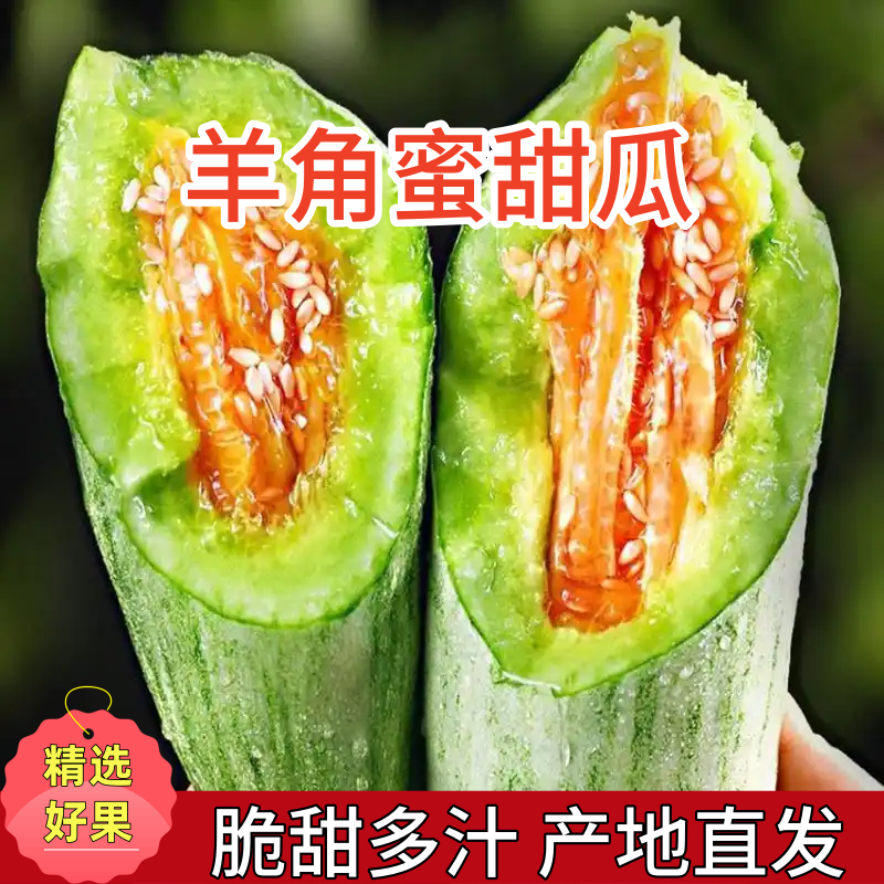 【脆甜多汁】正宗山东羊角蜜甜瓜新鲜当季香瓜蜜瓜产地直发