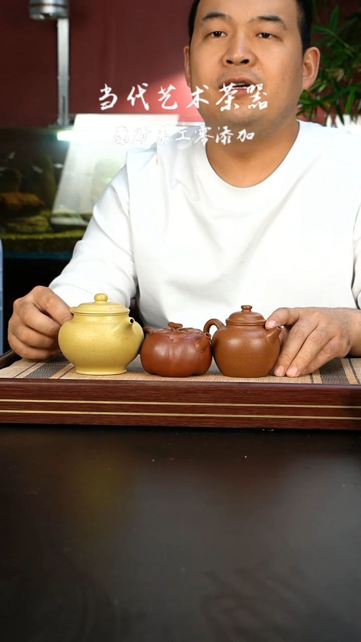 【闪购商品】紫砂茶壶沉香段圈扭+朱泥筋纹柿子+本绿掇只