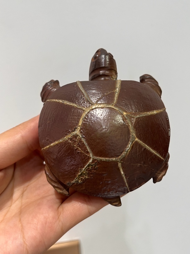 湖南龟纹石 天然奇石