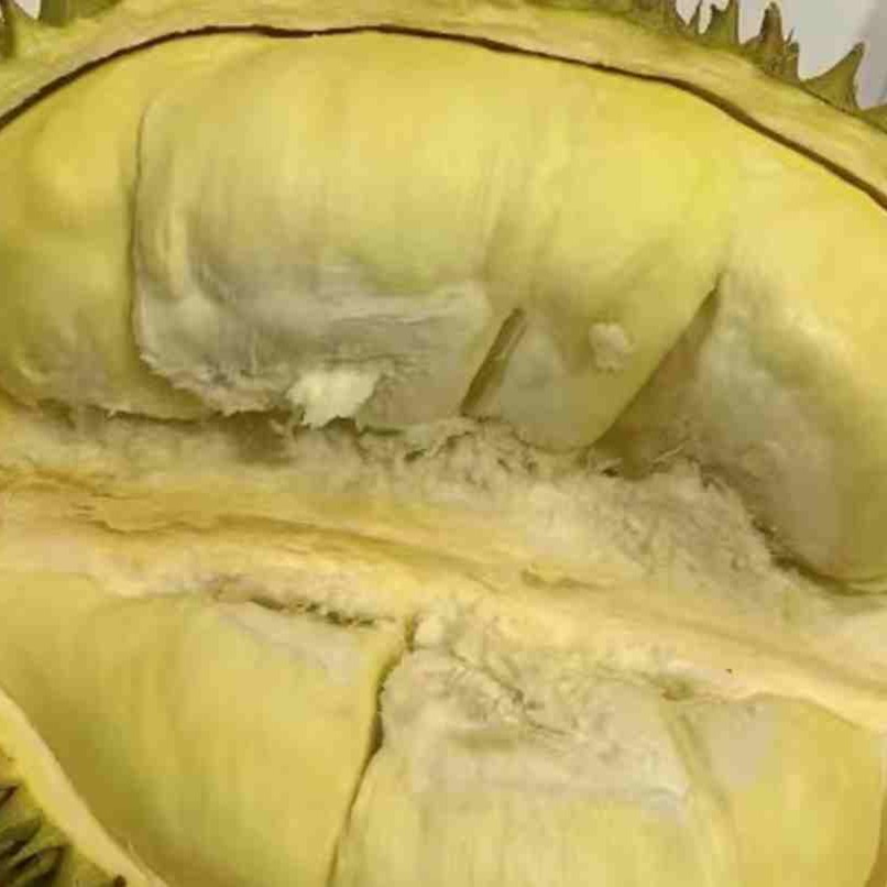 树熟榴莲软糯香甜三十八块八一斤约四斤