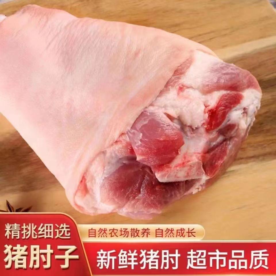 跑山猪肘子生新鲜猪肘子猪蹄髈前肘后肘小肘子猪前腿散养土猪肘子