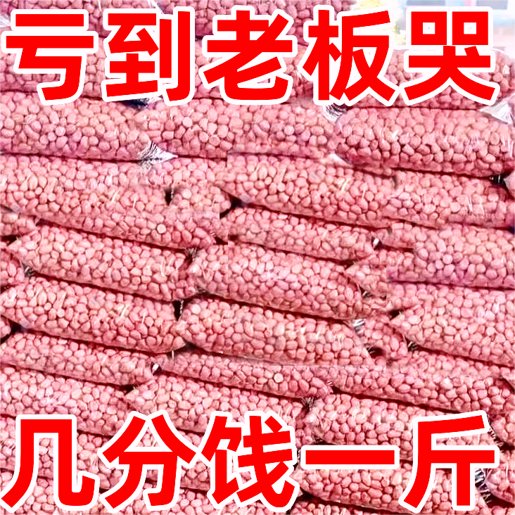 2023新货花生米精选大粒饱满花生米山东大颗粒花生米10克-5斤
