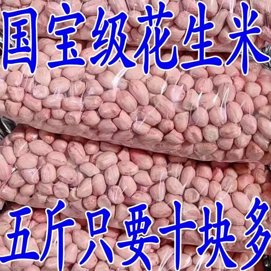 【5斤特价包邮】现剥新花生米新货粉皮新鲜大粒榨油白沙花生批发10g