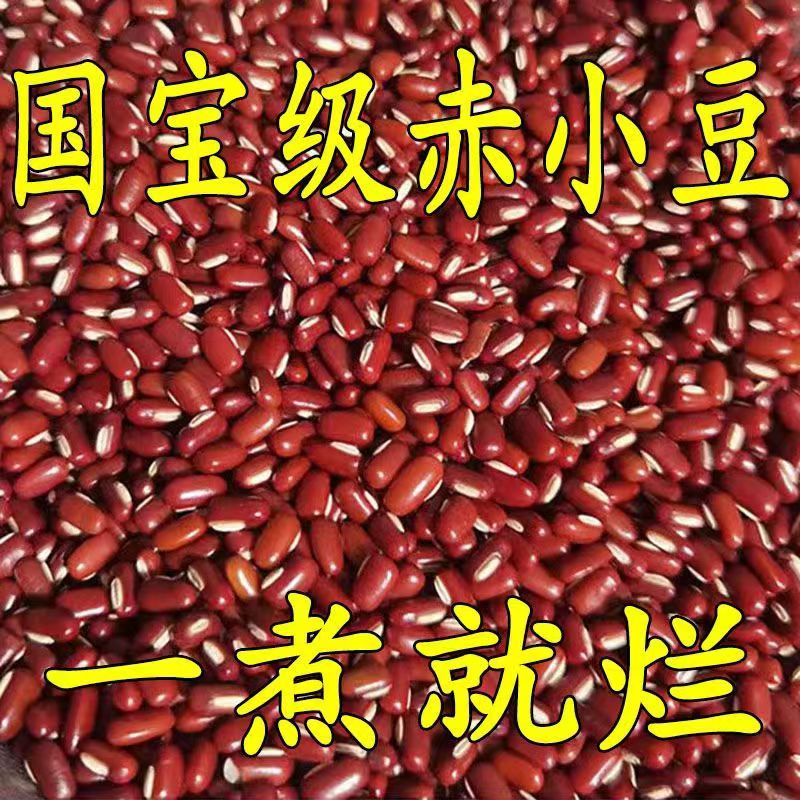 正宗东北赤小豆5斤农家自产长粒红赤豆红豆煮粥五谷杂粮10g