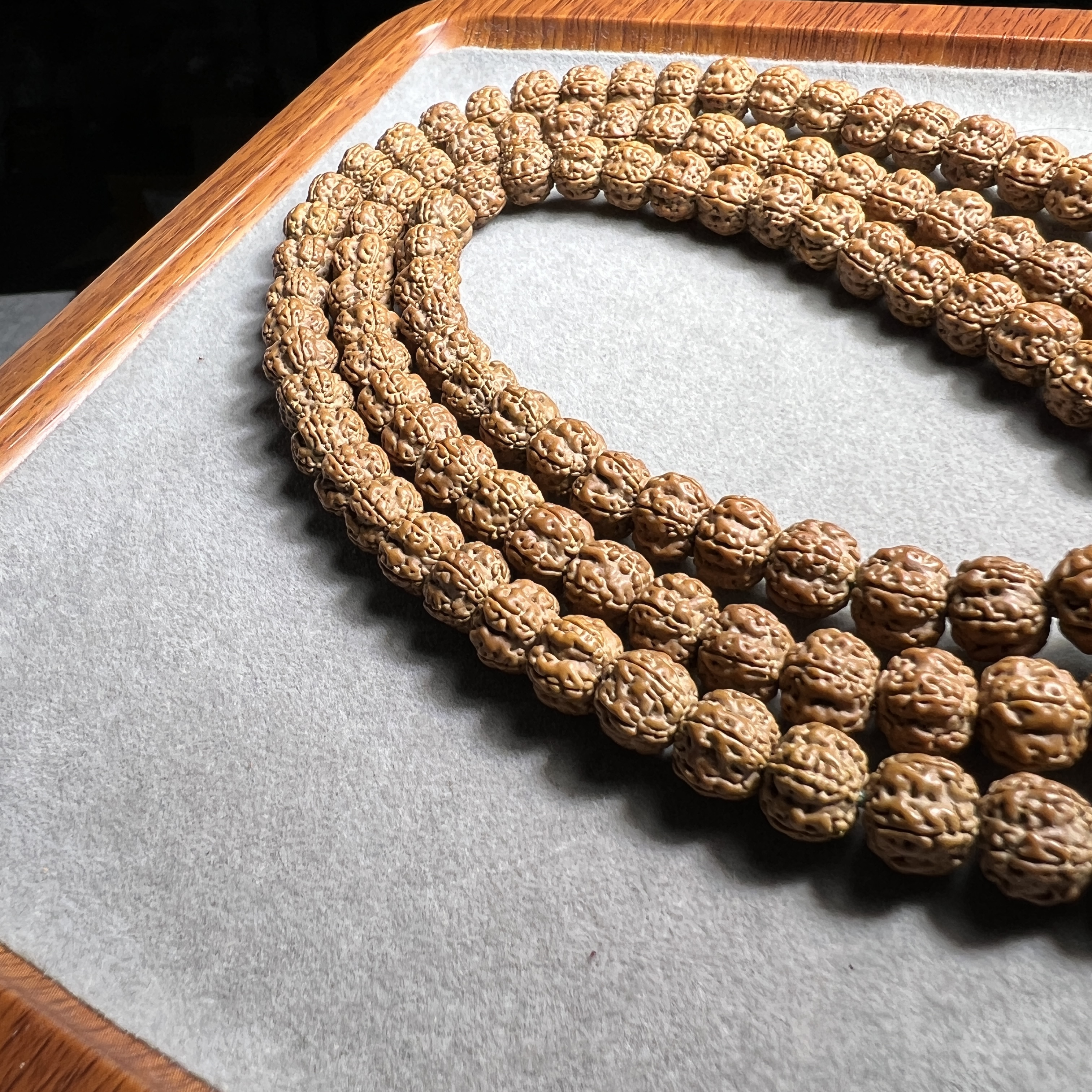 【三】天绝梅花·老树花王长串10至12mm（毫米）左右