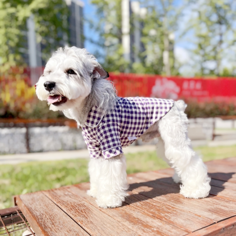 （巴仔原创）雪纳瑞泰迪针织弹力家居服小型犬翻领纯棉衬衫可定制