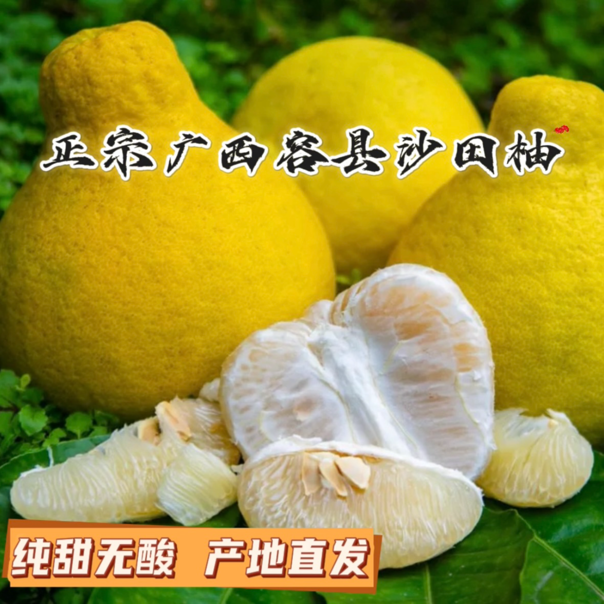 广西容县沙田柚纯甜无酸（老树果袋装）