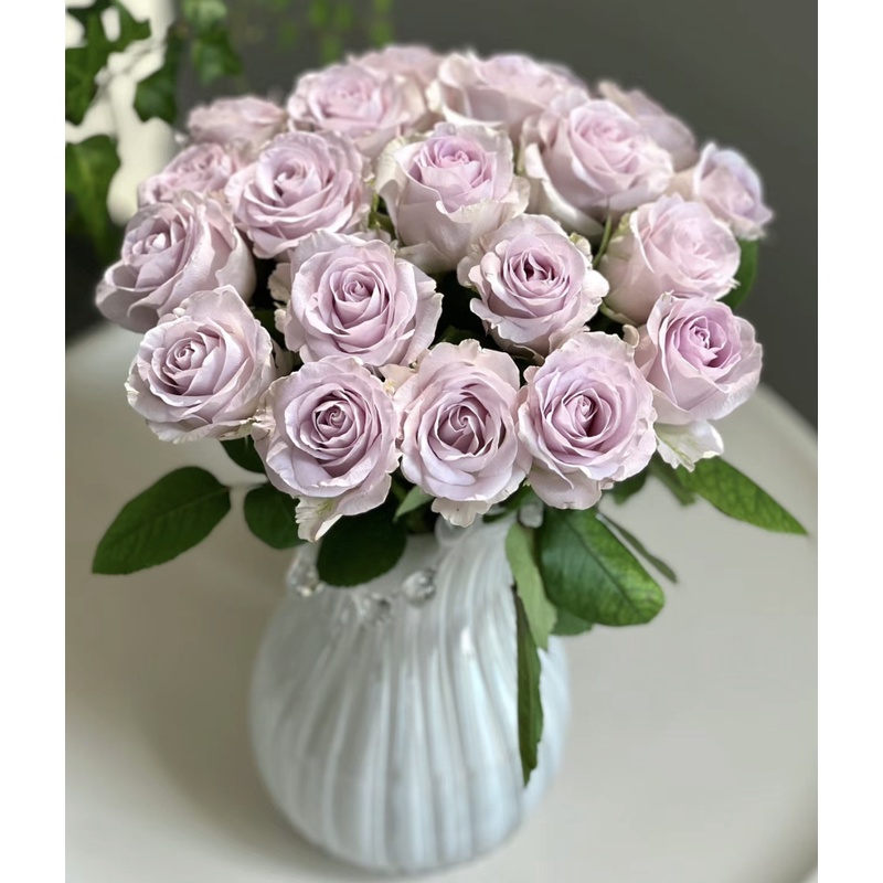 冬日恋歌玫瑰 浪漫鲜花  产地直发 低温地区未拍保温棉冻坏不售后