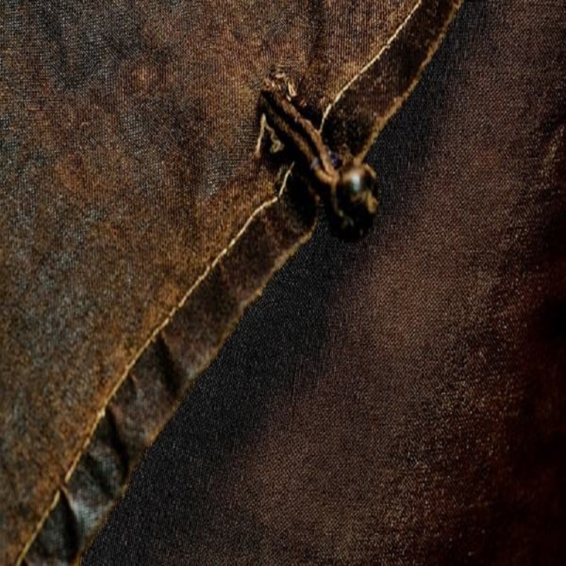 直播样板孤品衣服，纯苎麻香云衣，拍了截图面料透气