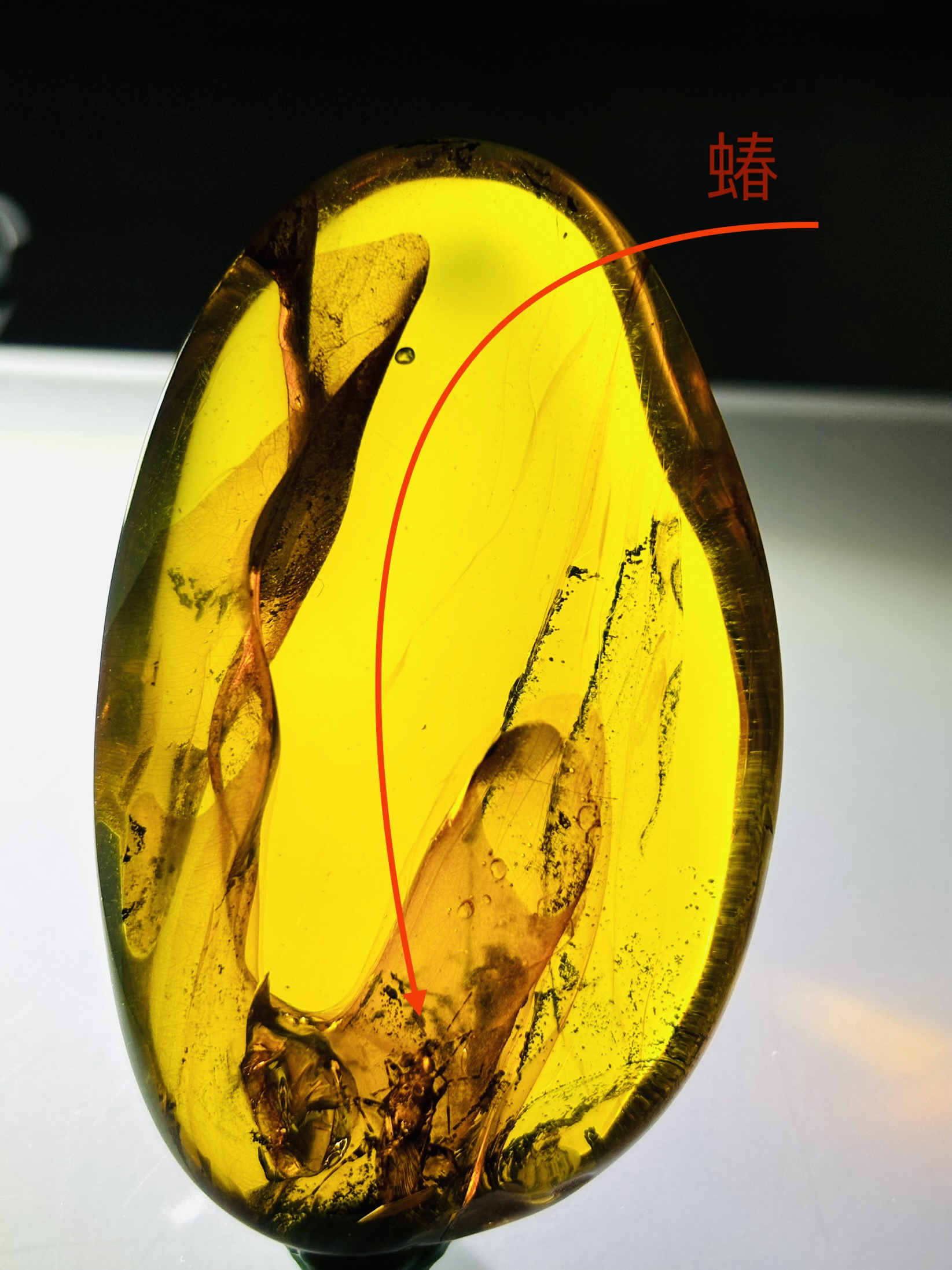琥珀虫珀少见蝽类（穿越时空的精灵）净重18.2克