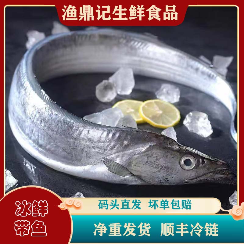  吕四雷达网小眼睛油带鱼 太嫩容易破肚 介意者勿拍 急冻顺丰发货