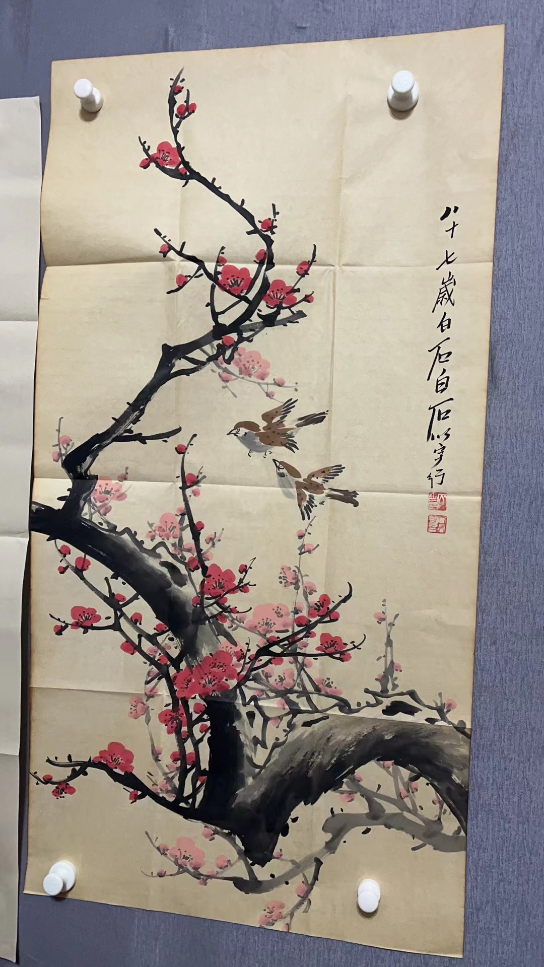 白先生竖三尺作品b61