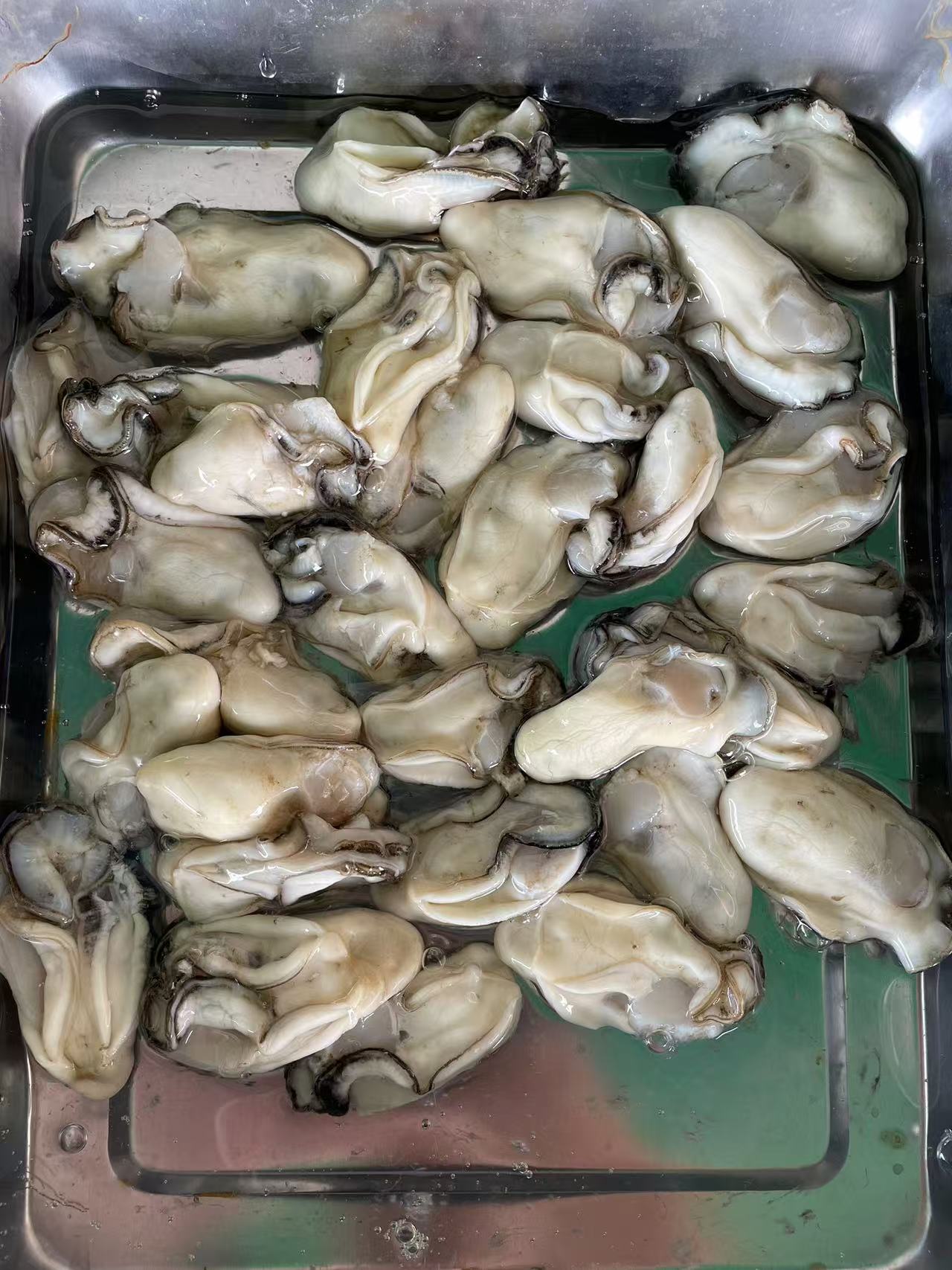 【台山小蚝】台山特产鲜蚝川岛生蚝  鲜甜 脆口 无渣 一斤35-40只