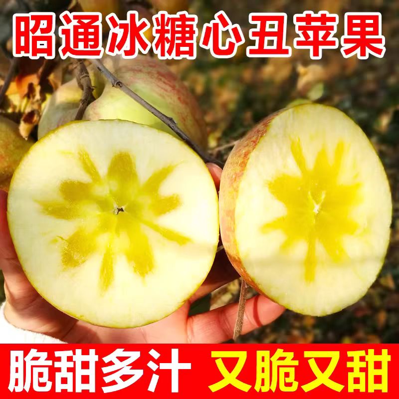 云南昭通丑苹果冰糖心苹果