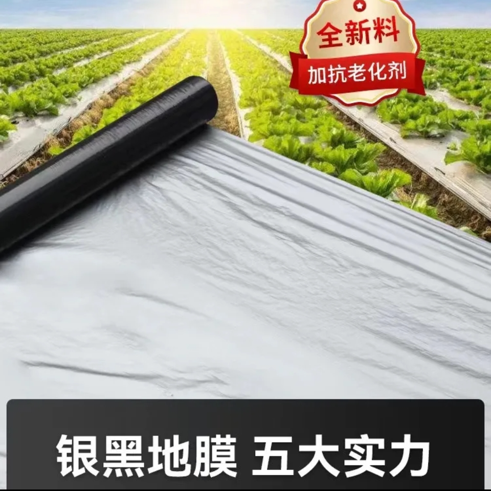 银黑农用地膜果树园保温反光除防草银灰双色银黑地膜大棚塑料薄膜