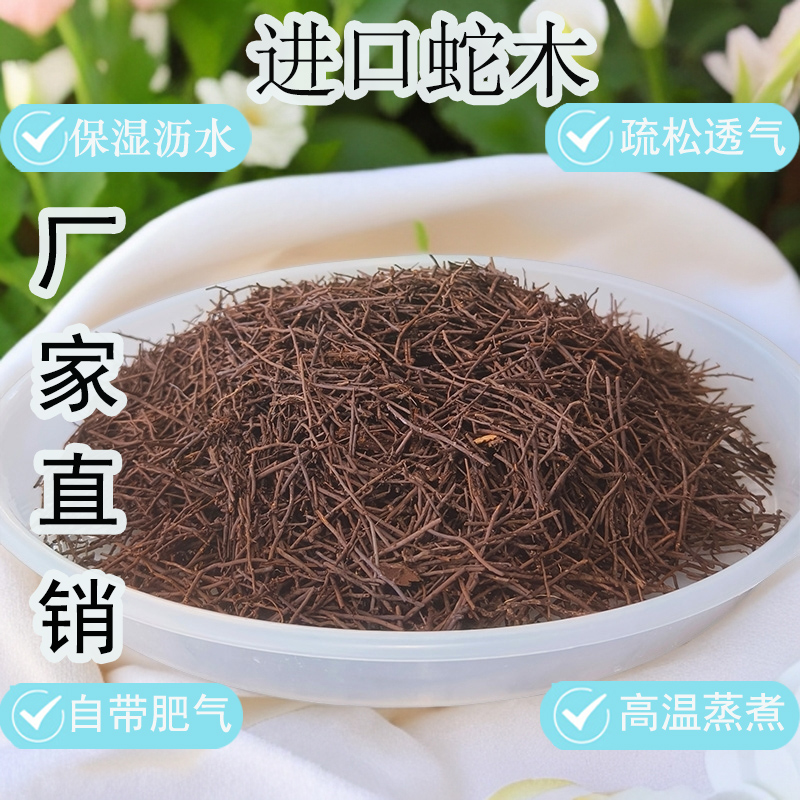 【新西兰进口蛇木】兰科植物专用兰花植料 