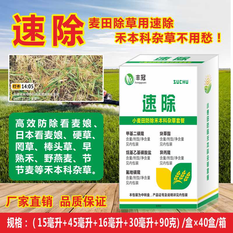 丰冠速除禾本科杂草