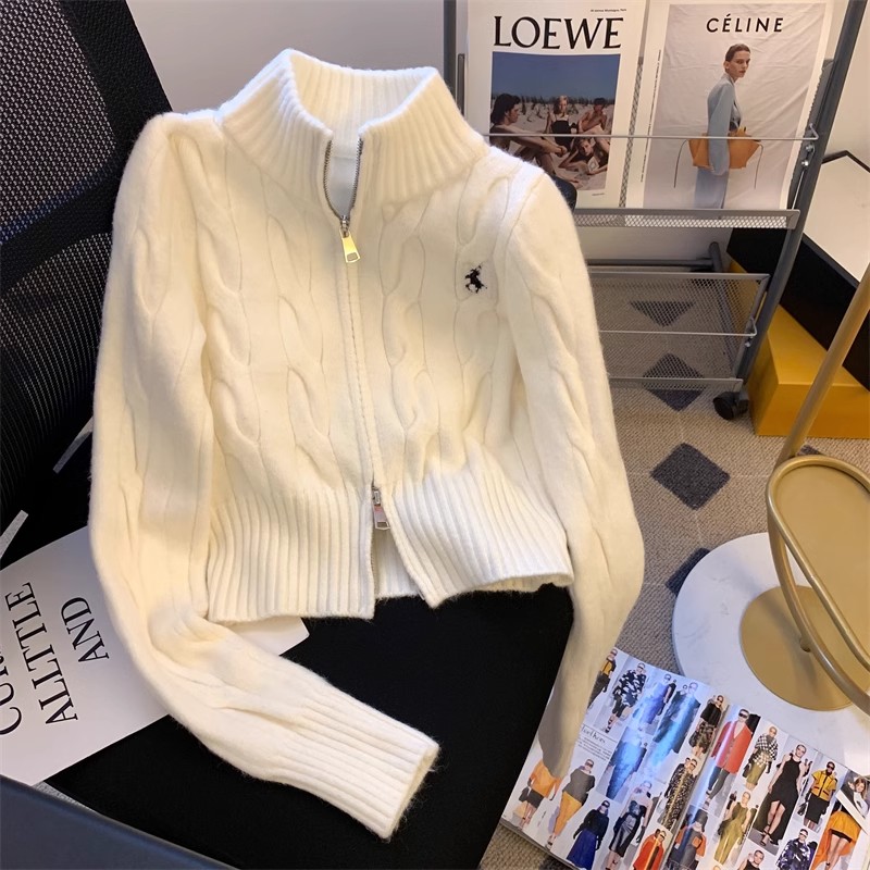 韩系复古绞花立领毛衣外套女秋季减龄别致刺绣针织开衫学院风上衣