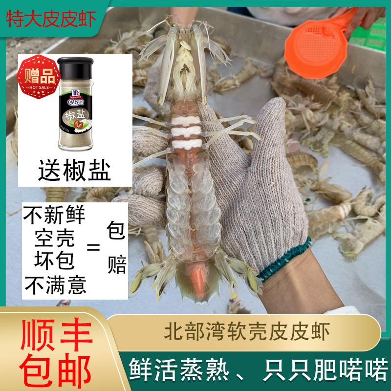 北海新鲜活蒸熟特大皮皮虾包邮爬子濑尿虾富贵虾带黄虾蛄椒盐清蒸