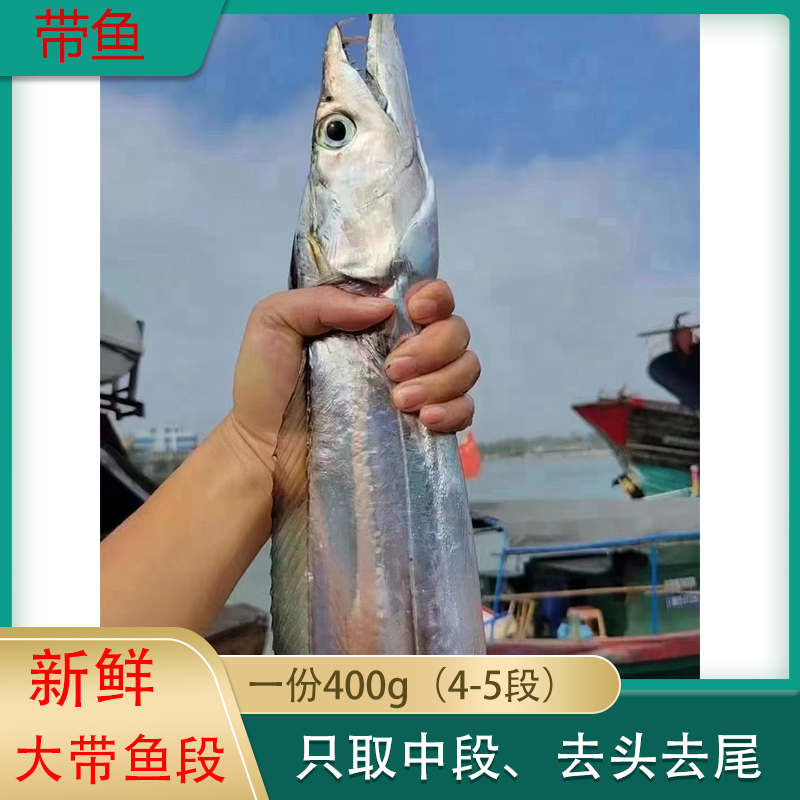  北部湾海鲜 带鱼 北海刀鱼 牙带鱼 中段 鲜活冷冻 400g（4-5段