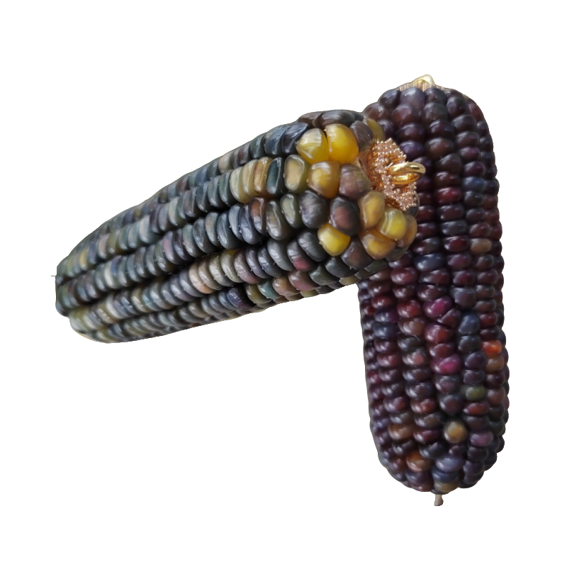 文玩玉米 把玩车挂件钥匙挂 （直播间一物一拍  勿私拍）