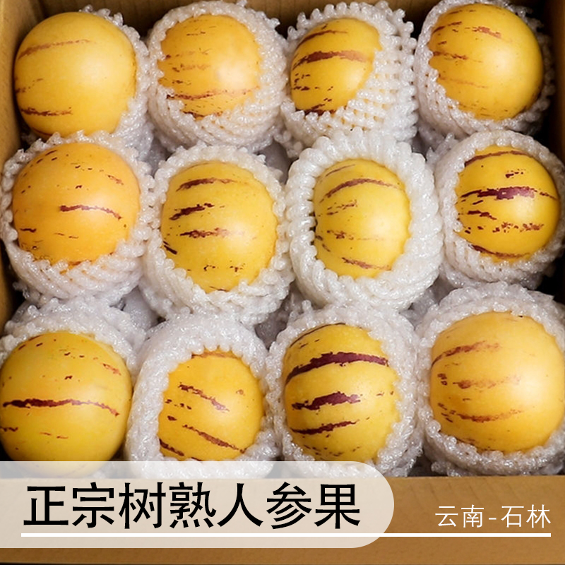 【真·树上熟】正宗云南石林人参果人生果当季热卖新鲜水果产地直发
