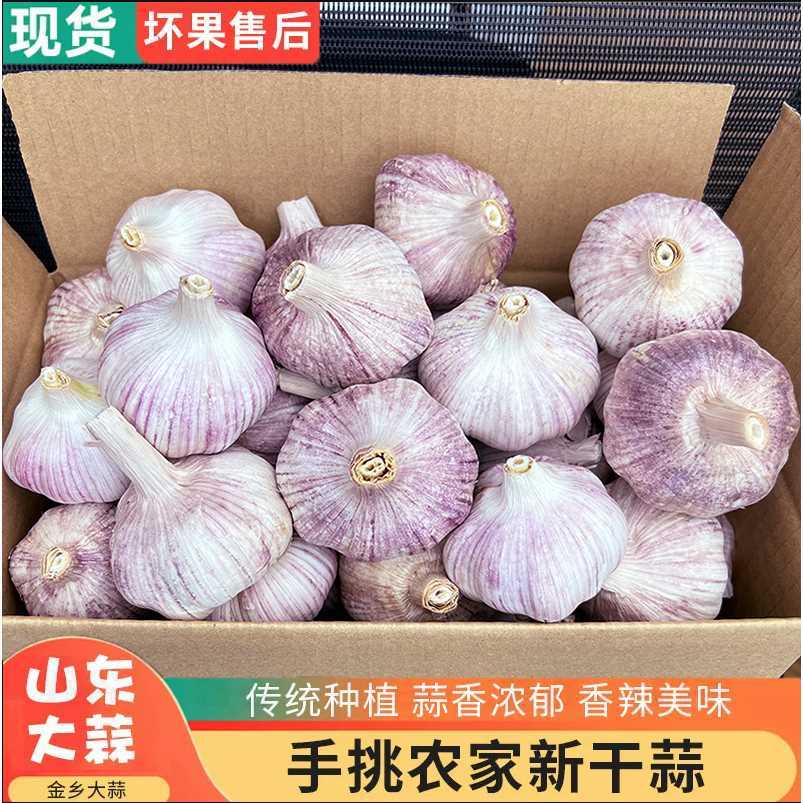 【超低价】2023新鲜紫皮大蒜头出口级精装新鲜晒干大蒜子批发香辣