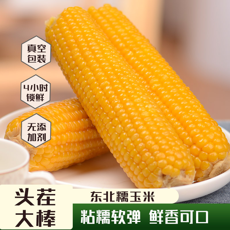 东北黄糯玉米 皮薄肉嫩 软糯香甜 真空独立包装 8根/10根单根260g