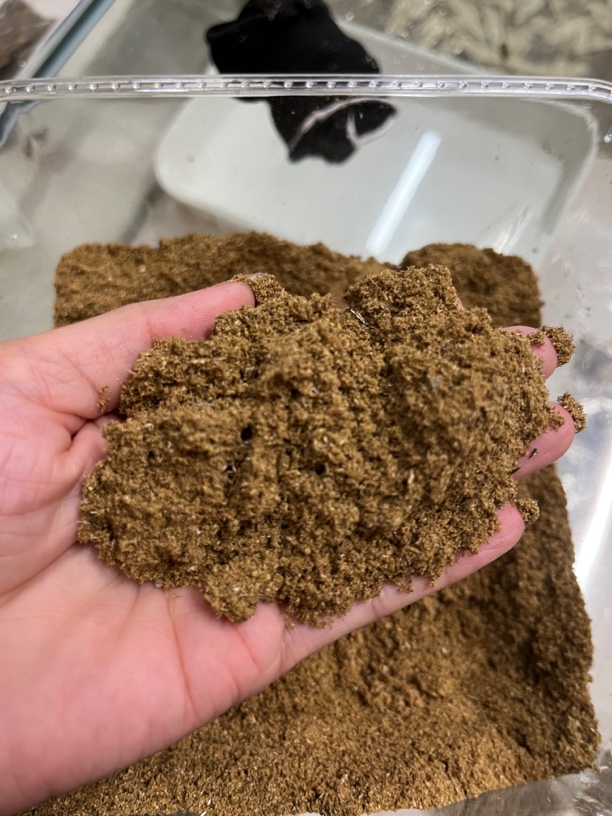 老树老料熏香粉 直播代替链接