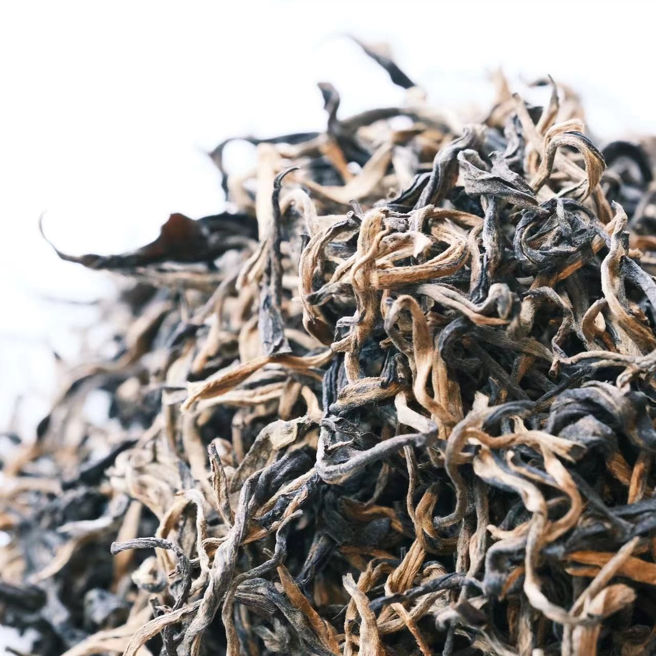 杭州龙井茶茶叶制作糯香红茶--金丝糯米红