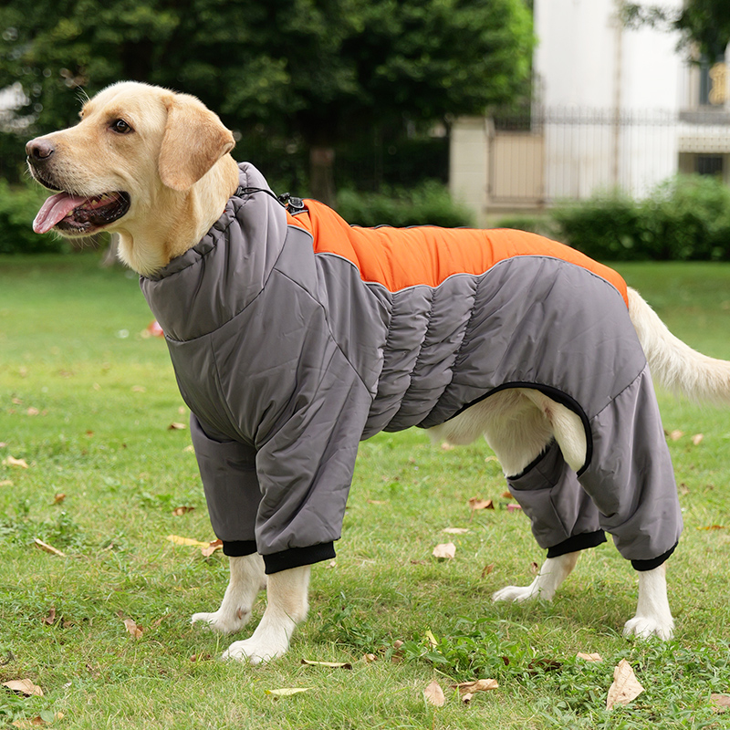 拉布拉多狗狗可牵引衣服秋冬大型犬金毛边牧大狗专用加绒加厚棉衣