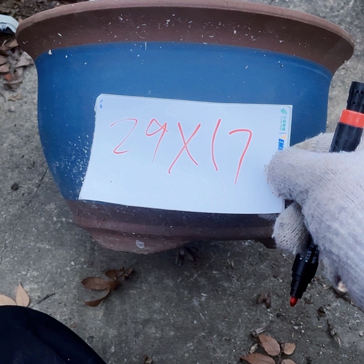 花盆紫砂111111111