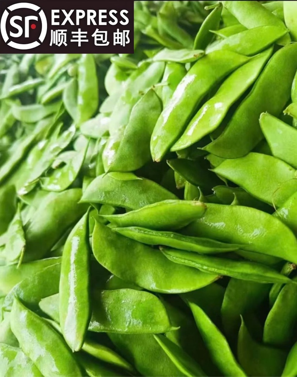 【白玉豆】上饶玉山本地露天种植白玉豆豆中贵族