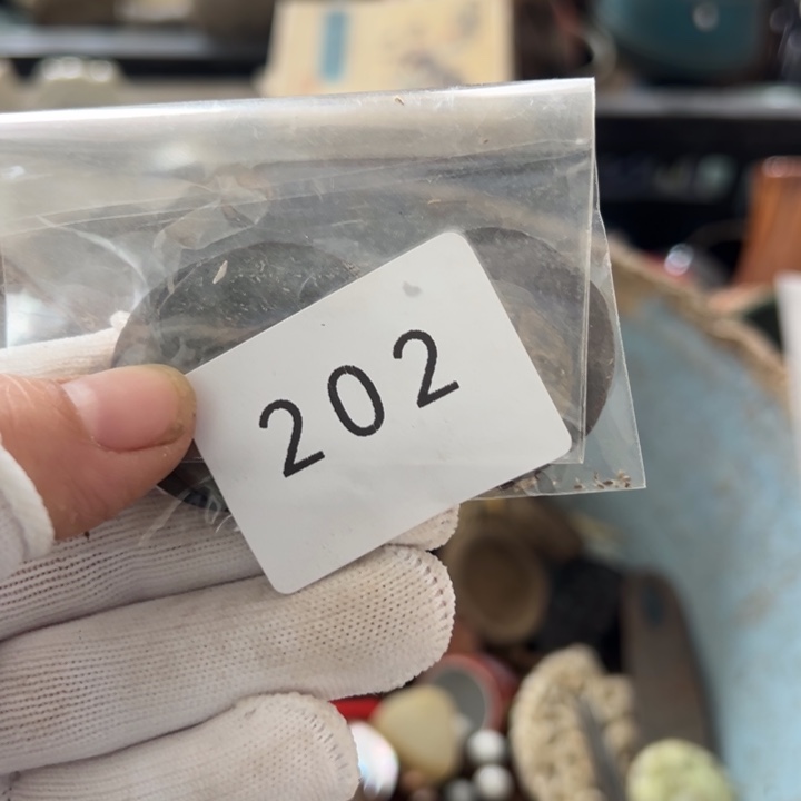 有机玻璃?*工艺品摆件202