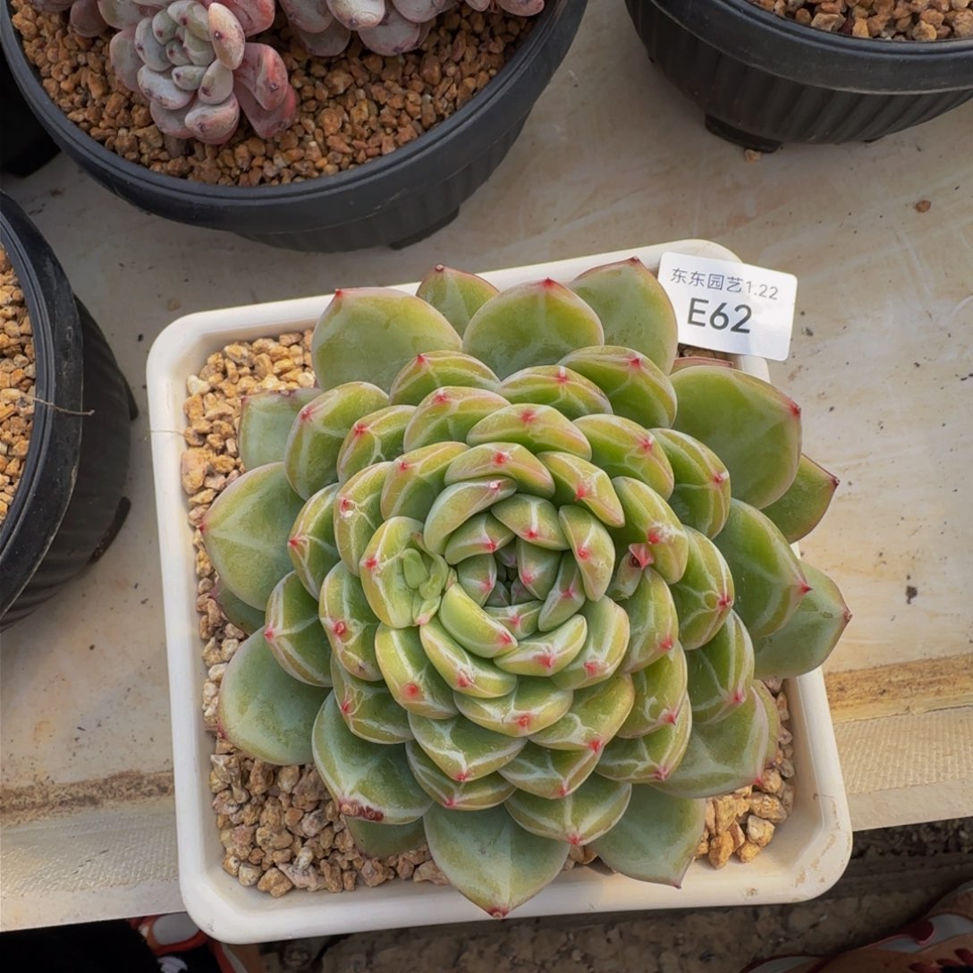 e e e e e e e e e 62