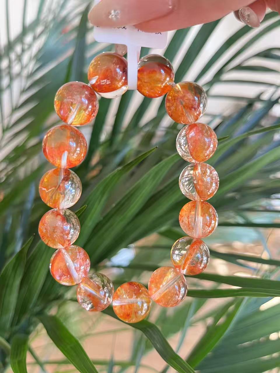 可塘源头工厂直播间