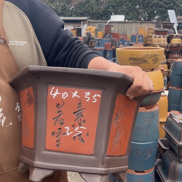 紫砂紫砂花盆盆栽