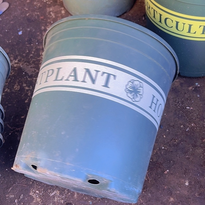 加仑盆口径22高21发6个