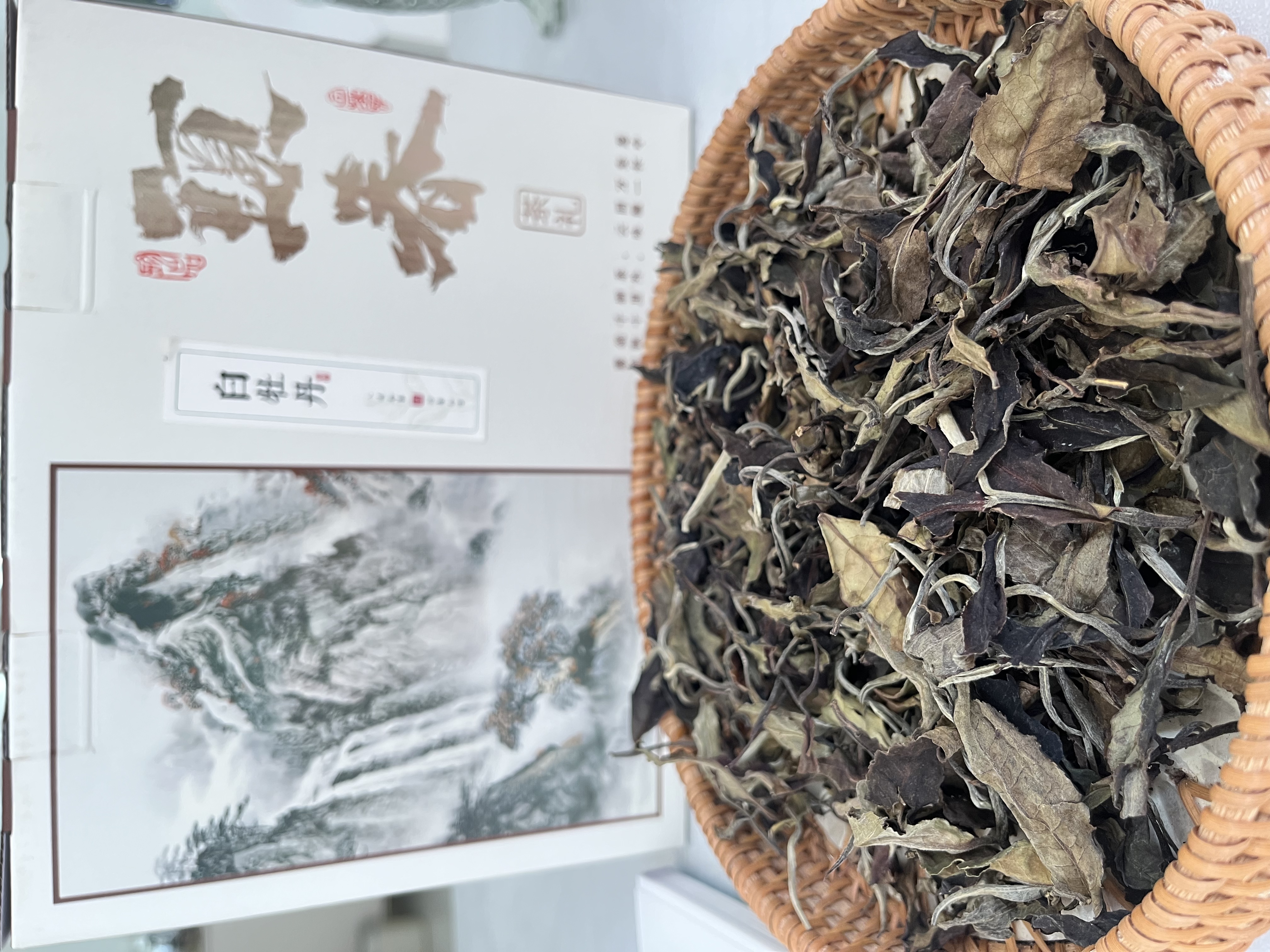 云南荒野老树 白牡丹 白茶