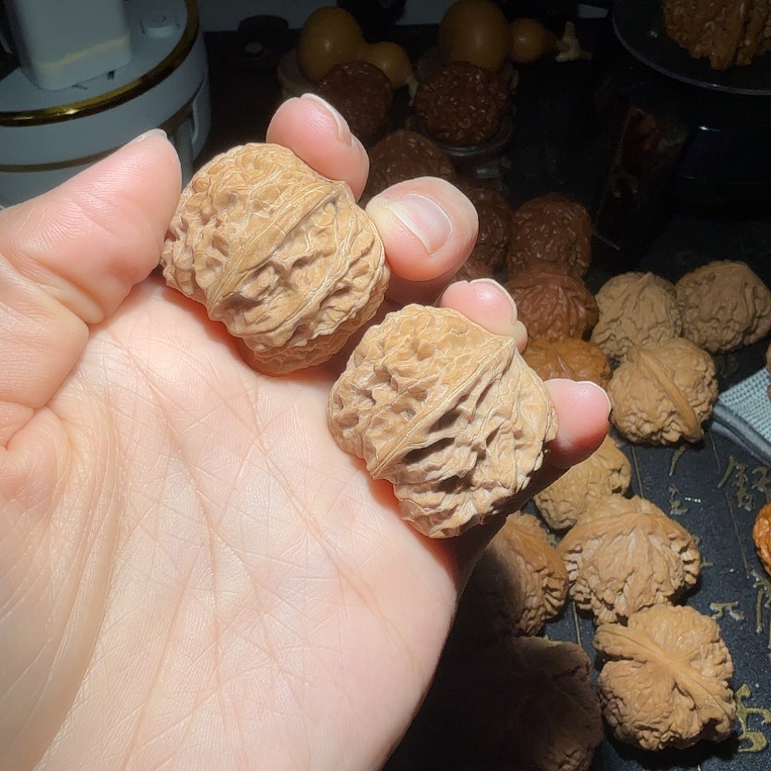核桃燕山山脉野生小众核桃