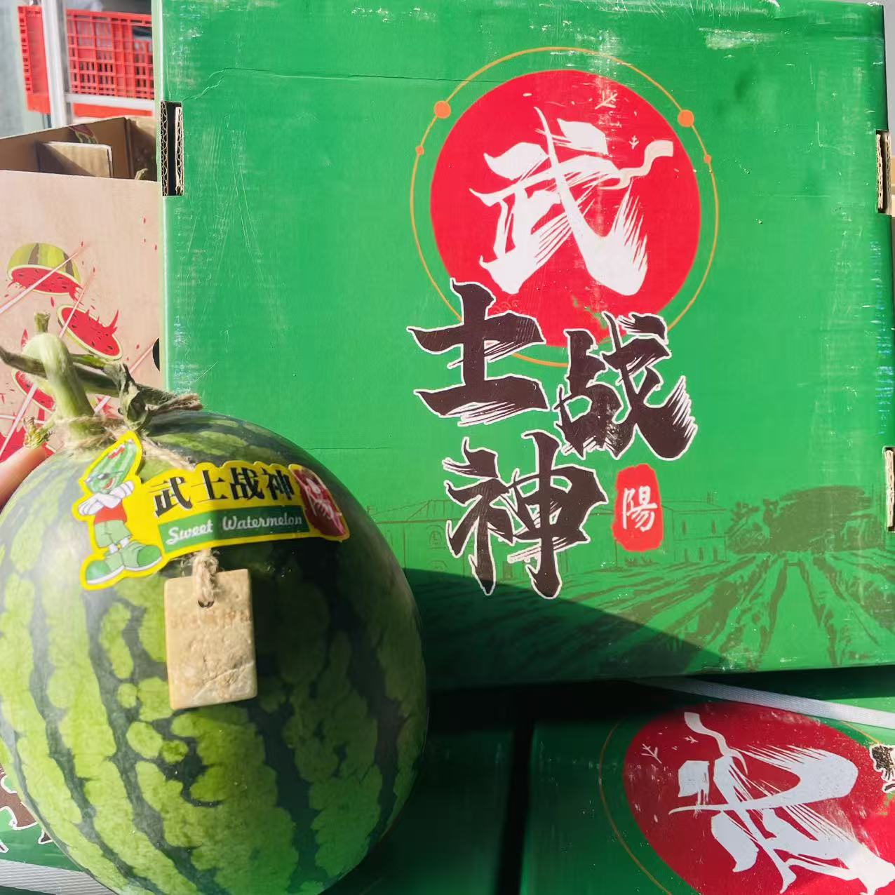 武士战神【甘美】   脆甜多汁   一颗装