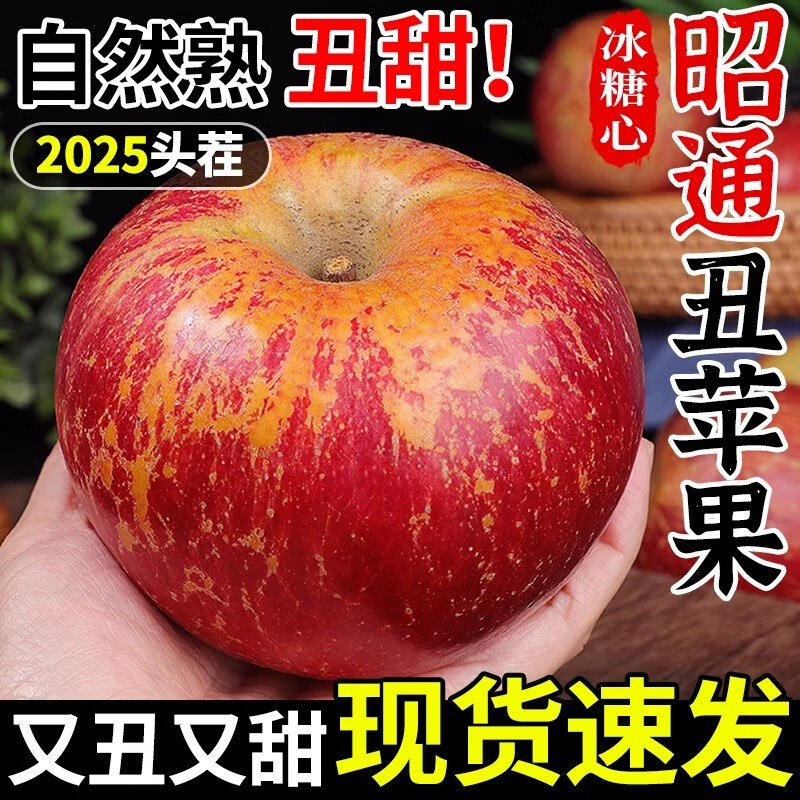 25年现摘云南昭通丑苹果冰糖心正宗礼盒新鲜苹果水果当季整箱平果