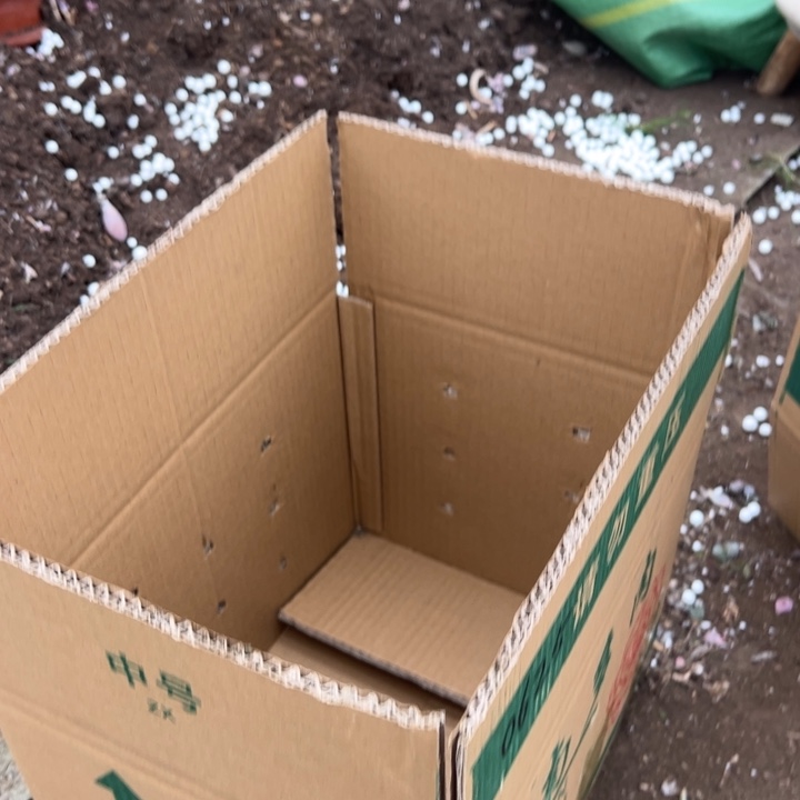 米***站无花朵云南多肉瑕疵桃蛋箱装无售后