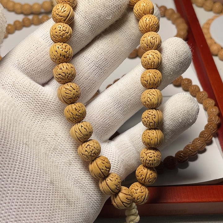 1号链接 1.1你纹 88.88