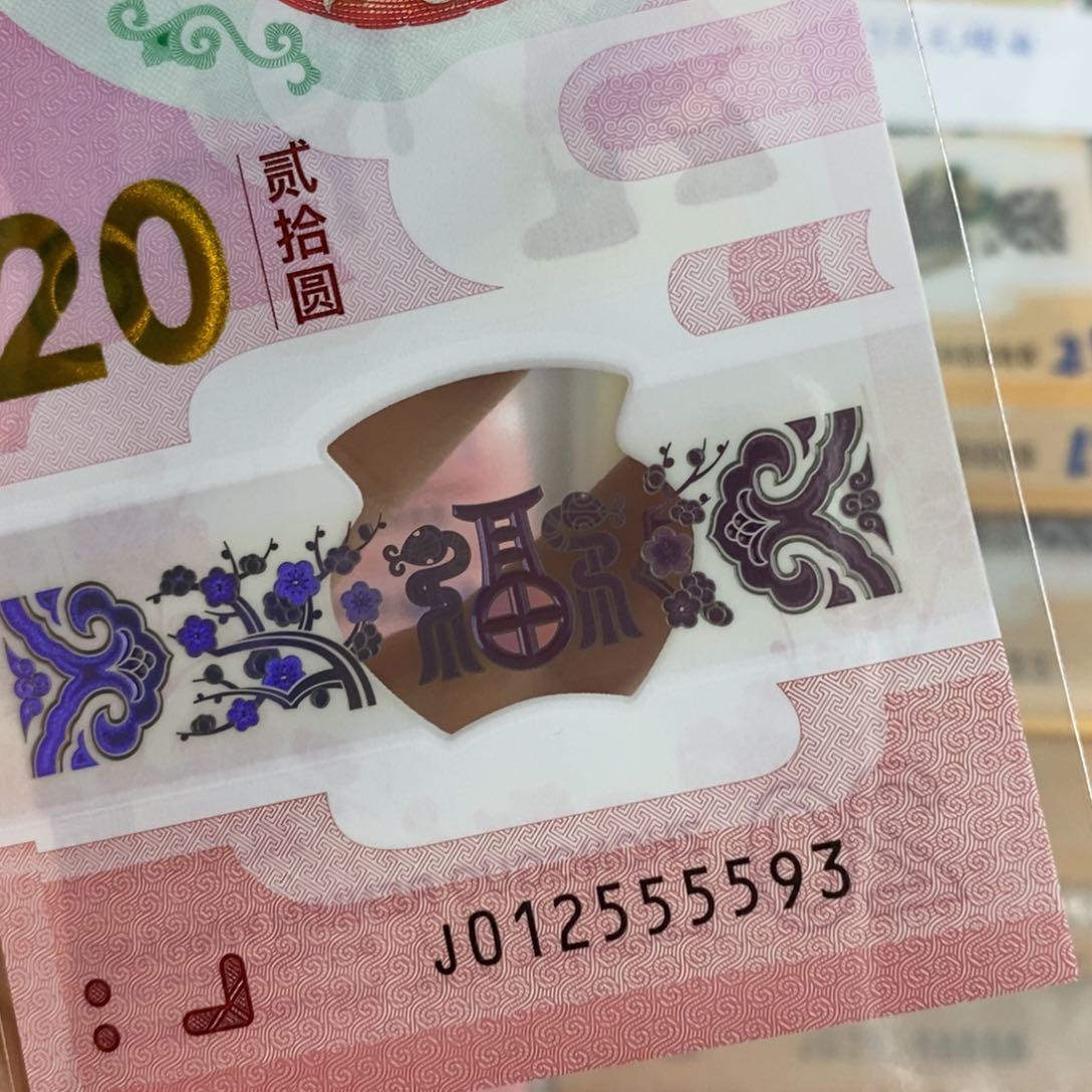 塑料 5593…………………………