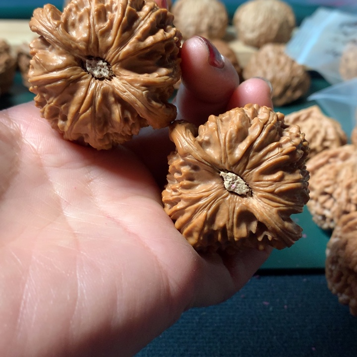 桃核吊坠无****诺白狮子微修