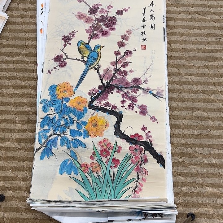 国画花鸟等多种鸟类的栖息100.50